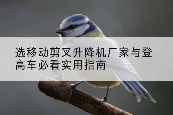 金昌电动升降机厂家-选移动剪叉升降机厂家与登高车必看实用指南
