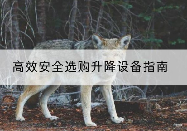 金昌升降货梯厂家推荐-*安全选购升降设备指南