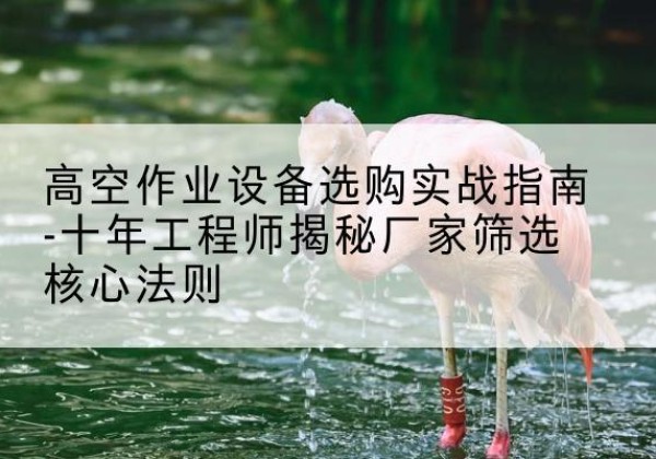 金昌剪叉式升降机厂家-高空作业设备选购实战指南-十年工程师揭秘厂家筛选核心法则